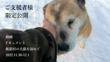 ご支援者様限定動画「飯舘村の犬猫を訪ねて 2022.11.30-12.1」